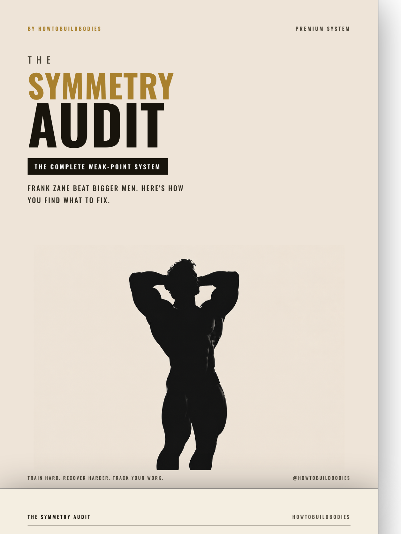 The Symmetry Audit cover